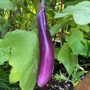 Meet your Posher, Ej